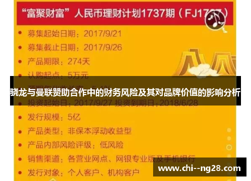 骁龙与曼联赞助合作中的财务风险及其对品牌价值的影响分析