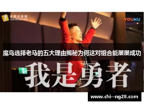 魔鸟选择老马的五大理由揭秘为何这对组合能屡屡成功